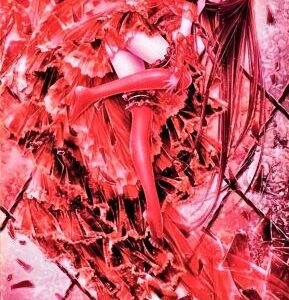 てぃんくる　「ME版　RED ROSE WORLD-SPECULAR COLLAPSE」の買取作品画像　ミクスドメディア